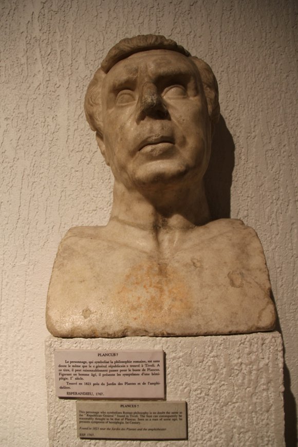 plancus.jpeg